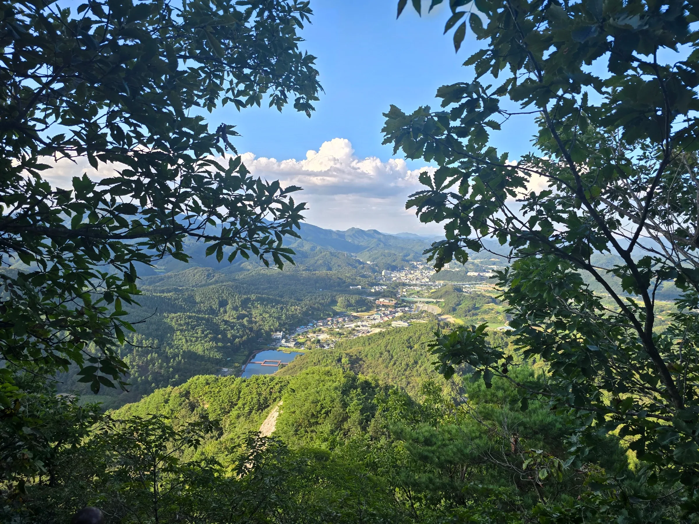 Through oak leaves, a view over forested green mountains, a small reservoir and a town in the valley, with a white cloud in the blue sky